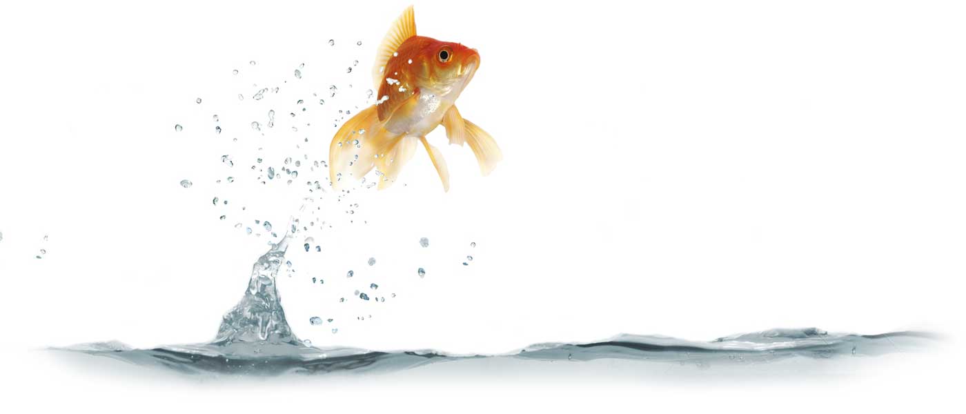 "Obstacles are those frightful things you see when you take your mind off your goals." Anonymous