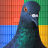 Pigeon — July 2014